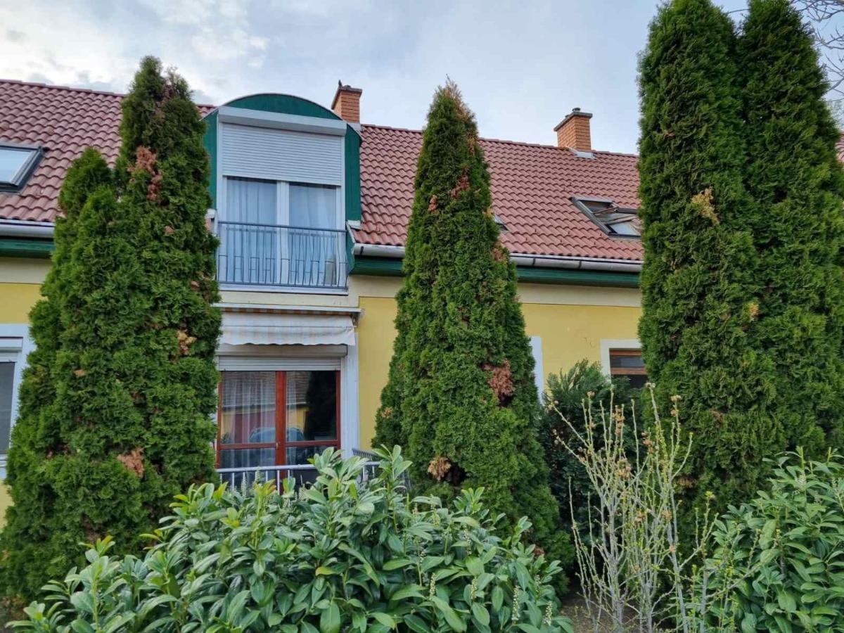 Körteszirom Apartman Eger Kültér fotó